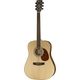 Cort Earth 100 NS