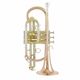 Thomann CR 600 G Bb-Kornett B-Stock