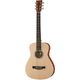 Martin Guitars LX1