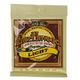 Ernie Ball EB 2004 Earthwood Bronze
