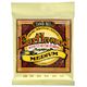 Ernie Ball EB 2002 Earthwood Bronze