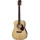 Cort Earth 70 NS