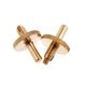 Dick Height Adjustment Screws Brass