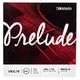 Daddario Prelude J810-4/4M