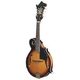 Tennessee Mandolin F1 F-Hole