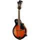 Tennessee Mandolin Premium F2 F-Hole