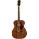 Fender Tim Armstrong Hellcat Acoustic