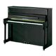 Wilh. Steinberg IQ 16 Black Polished