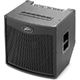 Peavey Tour TNT 115