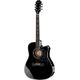 Epiphone Dave Navarro Signature Jane