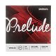 Daddario Prelude J810-3/4M