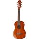 Ortega RGLE18FMH Guitarlele