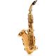 Yanagisawa SC-992 Curved Soprano Sax
