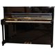 Roth & Junius RJP 121 E/P Piano