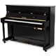 Thomann Adagio 112 E/P-S Piano