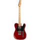 Fender Blacktop Telecaster HH MN CA