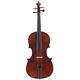 Karl H&ouml;fner H66HV-VA Viola 16"