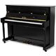 Thomann Adagio 112 E/P Piano