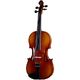 Roth & Junius RJVAE 13" Student Viola Set