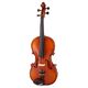Roth & Junius RJVAE 16,5" Advanced Viola