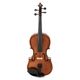 Roth & Junius RJVE 4/4 Professional Violin