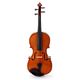 Roth & Junius RJVAE 16,5" Professional Viola