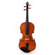 Roth & Junius RJVAE 16" Professional Viola