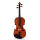 Roth & Junius RJVE 4/4 Master Violin Set