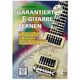 Alfred Music Publishing Garantiert E-Gitarre DVD