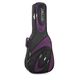 Ritter RCG700-9-C/BRB Classic