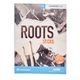 Toontrack Roots Sticks SDX