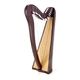 Roth & Junius RJCH-22BR Celtic Lever Harp