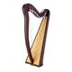 Roth & Junius RJCH-27BR Celtic Lever Harp