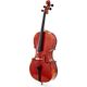 Roth & Junius RJCAV-2 Antique Varnish Cello