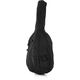 Roth & Junius RJDBB Student Double Bass Bag