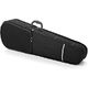Roth & Junius RJVC Student-02 Violin Case