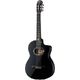 Takamine LTD2012C Michi