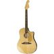 Fender Sonoran SCE Thinline