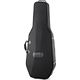 Roth & Junius RJCC-4/4AL Cello Case