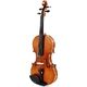 Roth & Junius Europa Solista 4/4 Violin