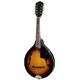 Gretsch G9300 NY Std. Mandolin