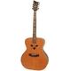 Ozark 2246 Bouzouki Guitar-Style
