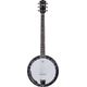 Fender Rustler 6-string Banjo