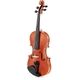 Roth & Junius Vivo 01 4/4 Violin
