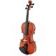 Roth & Junius Con Moto 4/4 Violin