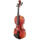 Roth & Junius Con Brio 4/4 Violin