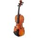 Roth & Junius Con Amore 4/4 Violin