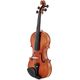 Roth & Junius Grazioso 4/4 Violin