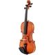 Roth & Junius Maestoso 4/4 Violin
