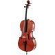 Roth & Junius Con Brio 4/4 Cello